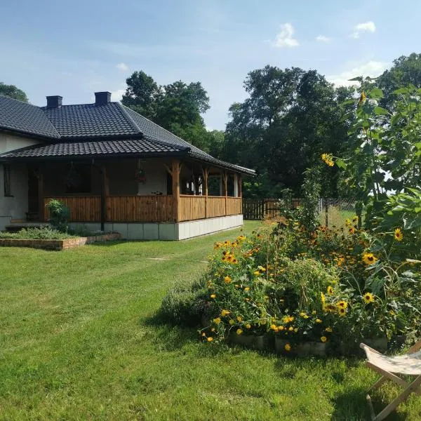 Dom w Siedlisku pod Orzechem, hotel in Przyłęk