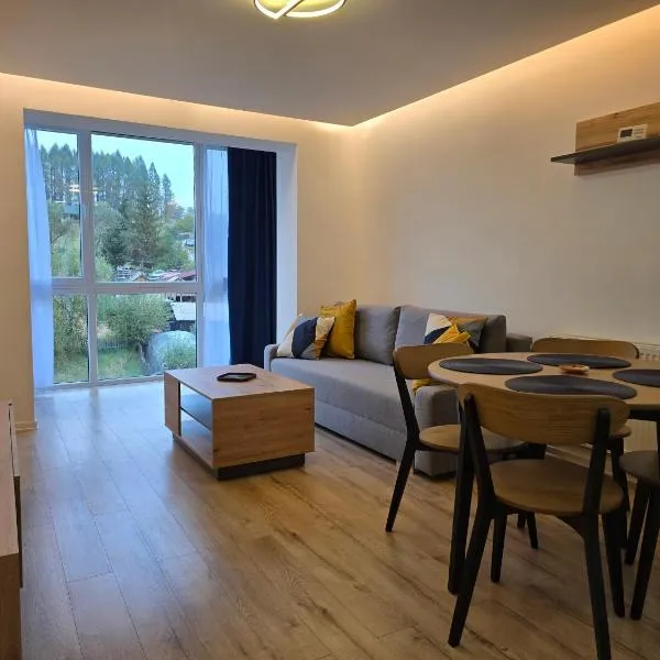 SaGa Apartament, hotel v destinaci Topliţa