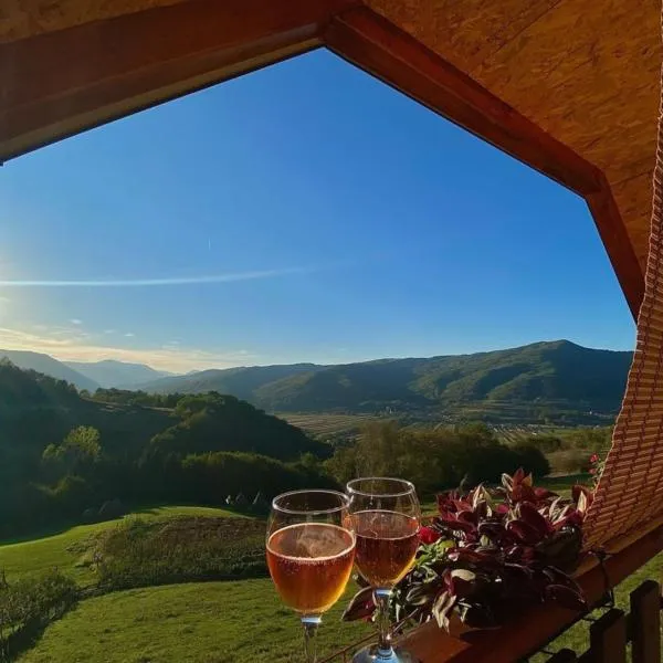 Kuća za odmor Andrea, hotel a Bajina Bašta