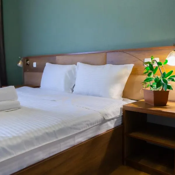 Hotel Horizont Telavi, hotel in Telavi