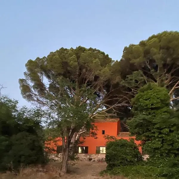 Casa en campo para desconectar en Madrid con Animales、Cenicientosのホテル
