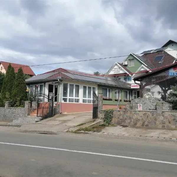 Pensiunea Cetatea, hotel in Boghiş