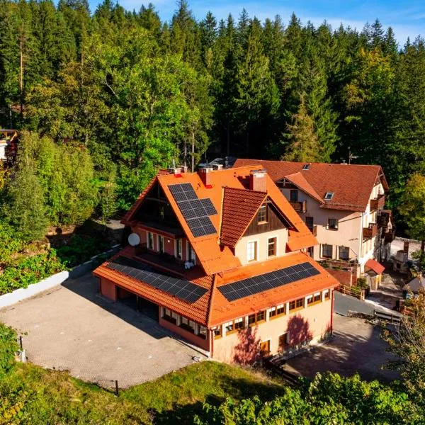 Wonder Home - Apartamenty Karkonosz blisko wyciągów narciarskich, szlaków i restauracji, hotel in Karpacz