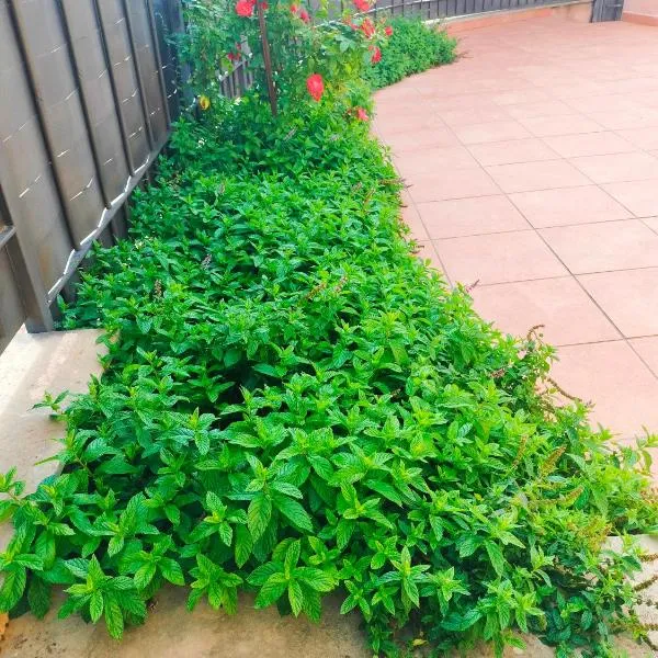 La Casa de Nerea en Arcas – hotel w mieście Cuenca