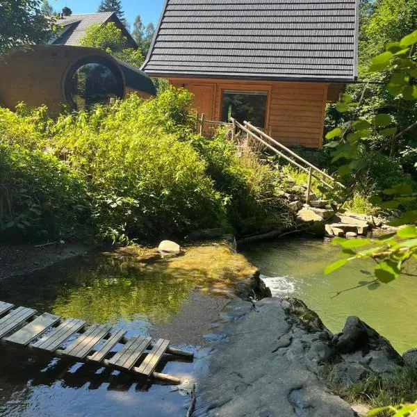 Chatka z sauną nad rzeką, hotel in Żabnica