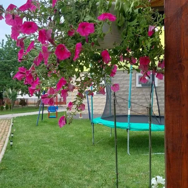 Andrić, hotel Gračacban