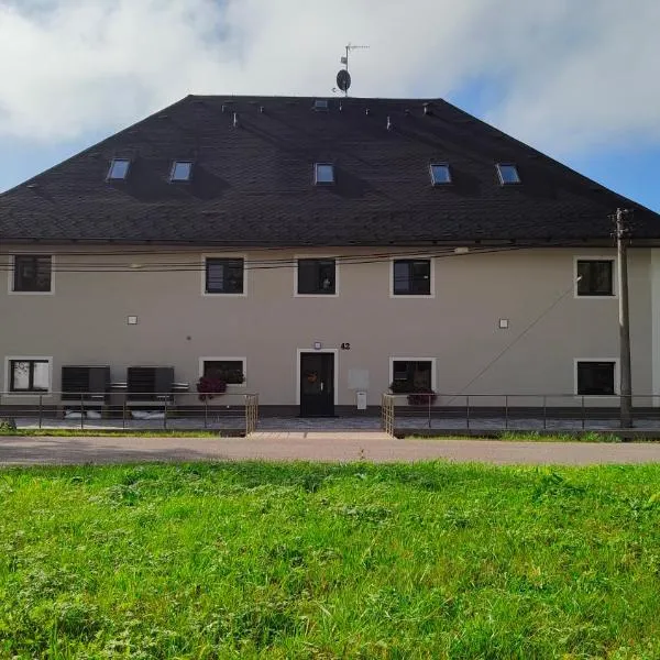 Apartmán v podhůří Krkonoš, hotel v destinaci Staré Buky