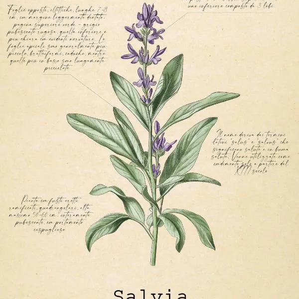 Le Floreali - Casa Salvia, hotel u gradu 'Bolsena'