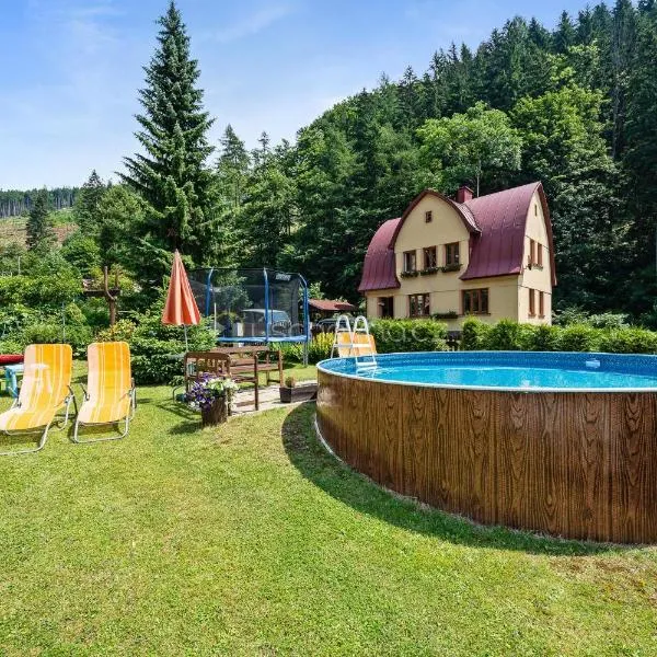 Černý Důl 241, Hotel in Černý Důl