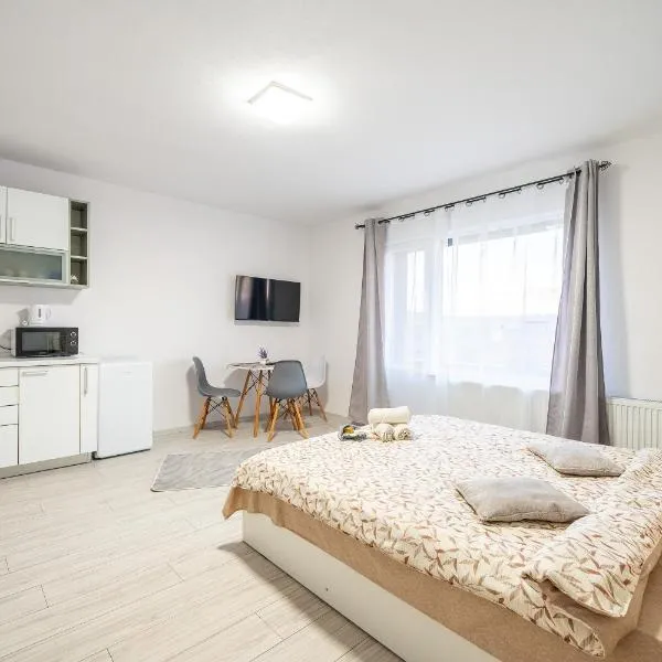 Yvett House, hotel v destinaci Sfântu-Gheorghe
