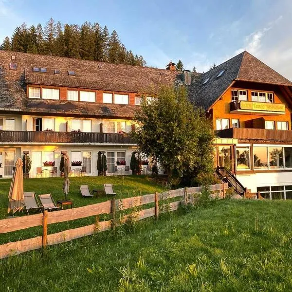 Hotel Tannhof, Hotel in Feldberg (Schwarzwald)