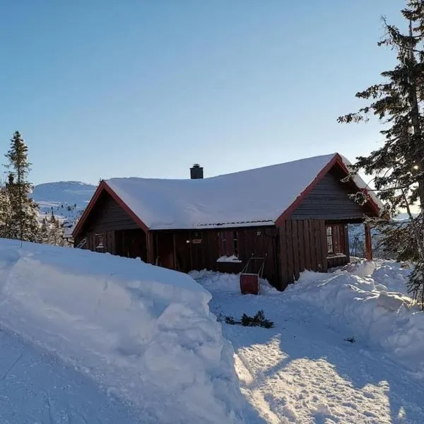 Høyfjellshytte, hotel v destinaci Flå