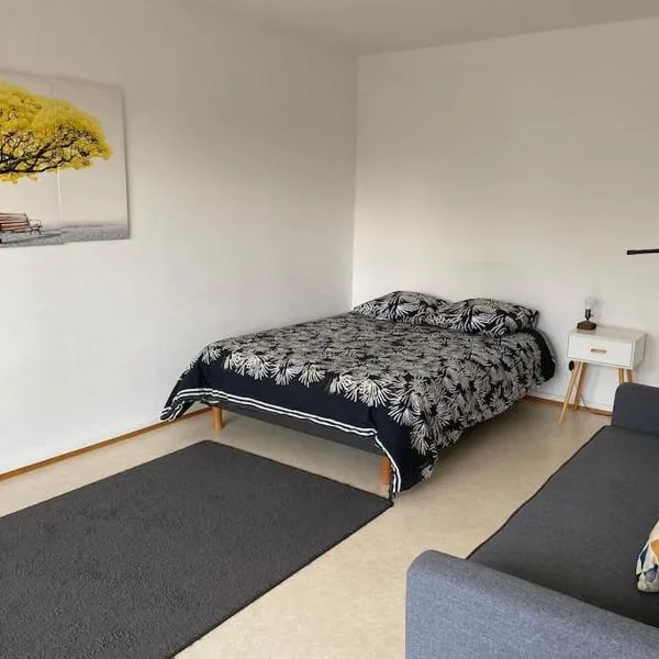 Studio 35 - centre ville, proche Bâle, hotel in Saint-Louis