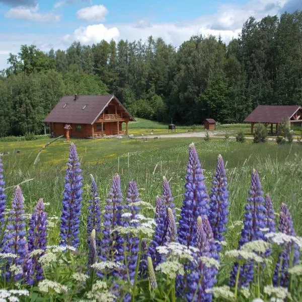 Guest House Kalniņi, hotel di Kārļi