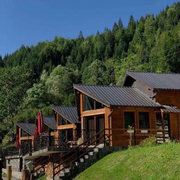 Fisi Resort, hotel in Peje