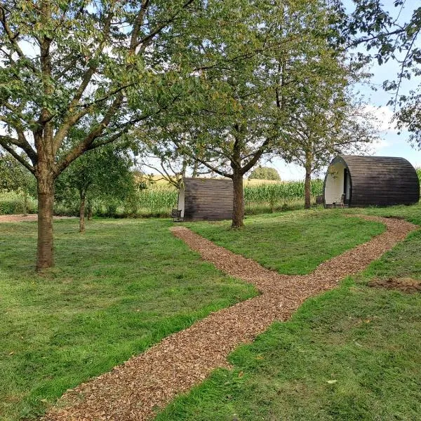 B&B Uit de Kunst APPEL, hotel v destinaci Bingelrade
