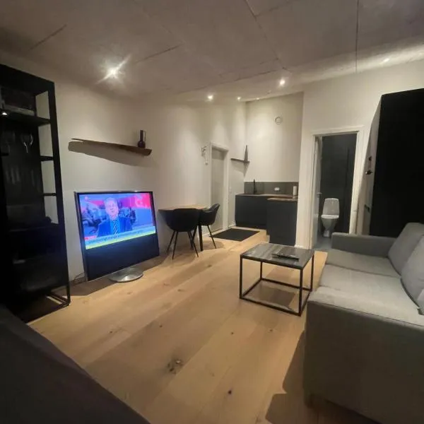Central lejlighed, hotel v destinaci Herning