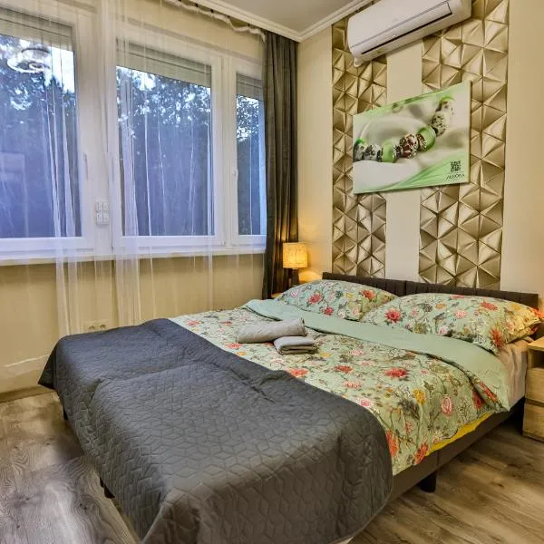 Karolina Apartman in the silent 11th district,布達佩斯的飯店
