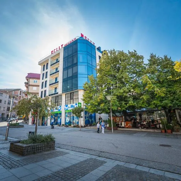 Monelly apartments Loznica - pešačka zona, hotel v destinaci Loznica
