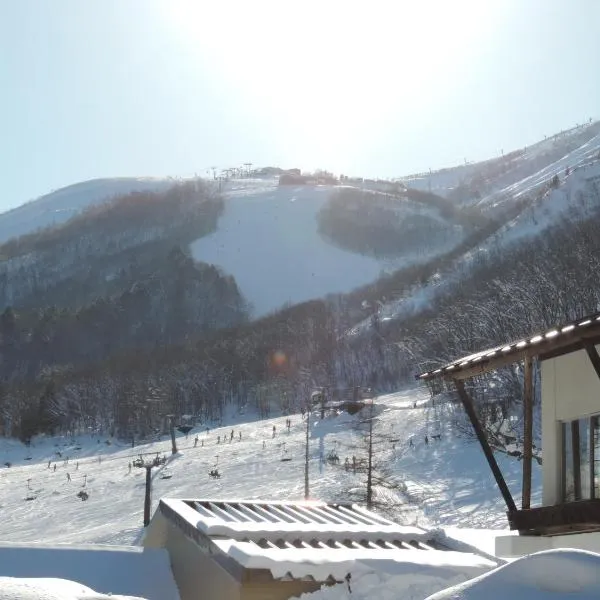 Hakuba Deer Lodge, hotel v destinaci Nagano