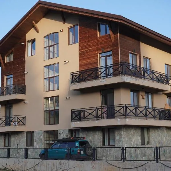 AVIATOR Apartments in Bakuriani, hotel in Bakuriani