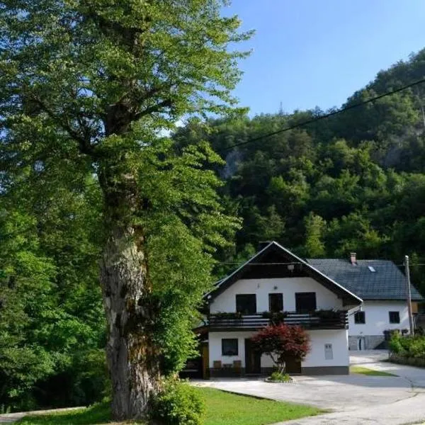 Apartma pri lipi, khách sạn ở Bohinj