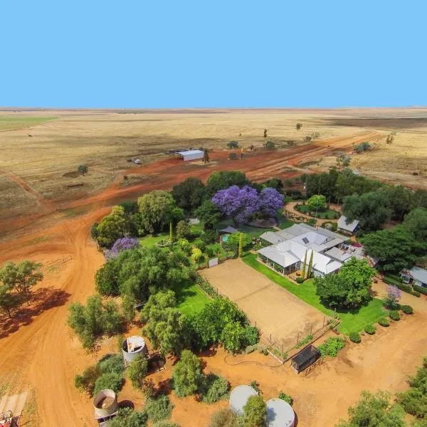 Corynnia Station, ξενοδοχείο σε Carrathool