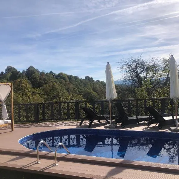 Вила Поликсения Петиня, hotel v destinaci Trjavna