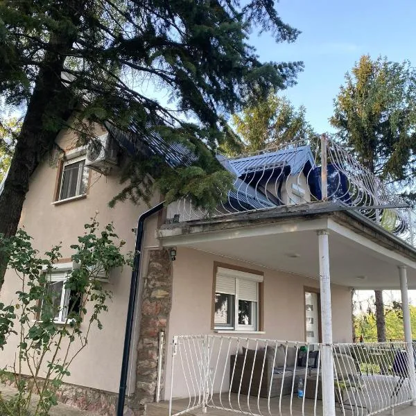 Vila Vera Novosadska 15, hotel in Velika Remeta