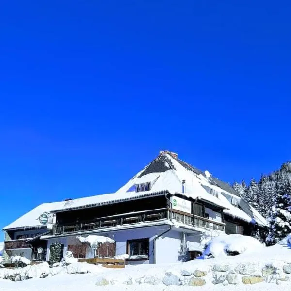 Draxlerhaus, hotel in Hohentauern