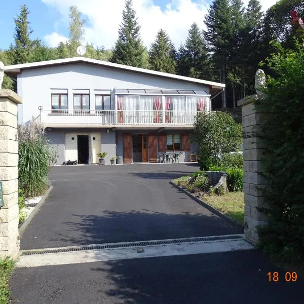 Profiter du calme de la montagne vosgienne, khách sạn ở Saulxures-sur-Moselotte