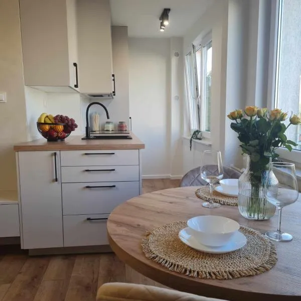 Apartament pod lasem, hotel v destinaci Pionki
