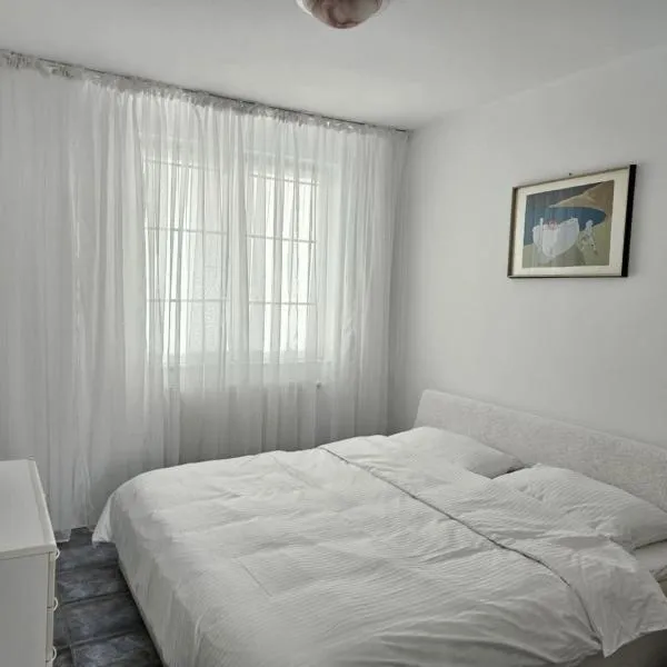 Victoriei 7, מלון בטימישוארה