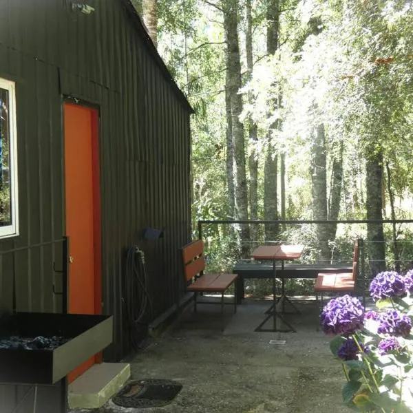 cabaña en la naturaleza, hotel v destinaci Futrono