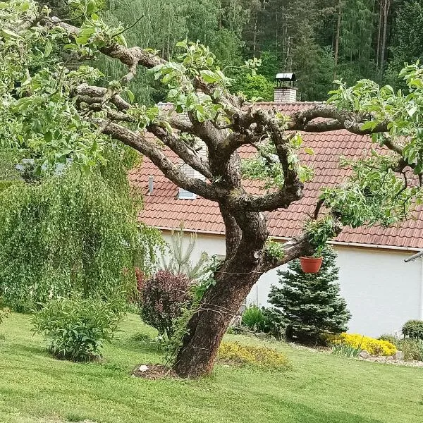 Ubytování Iris, hotel v destinaci Dolany