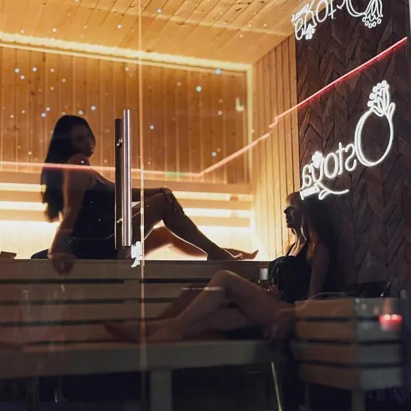 Ostoya Zawory -domki premium ,strefa relaksu, basen, hotel in Zawory