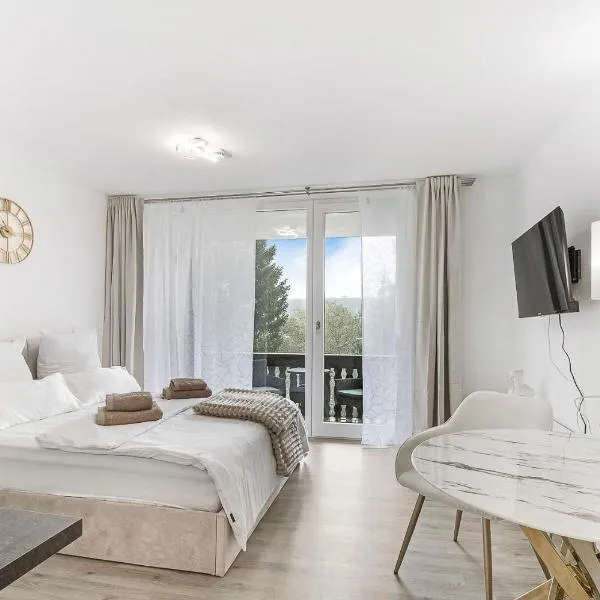 Apartment Cosy - an Skipiste und Bikepark, hotel v destinaci Winterberg