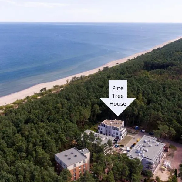 Pine Tree House 6, hotel Międzywodziében