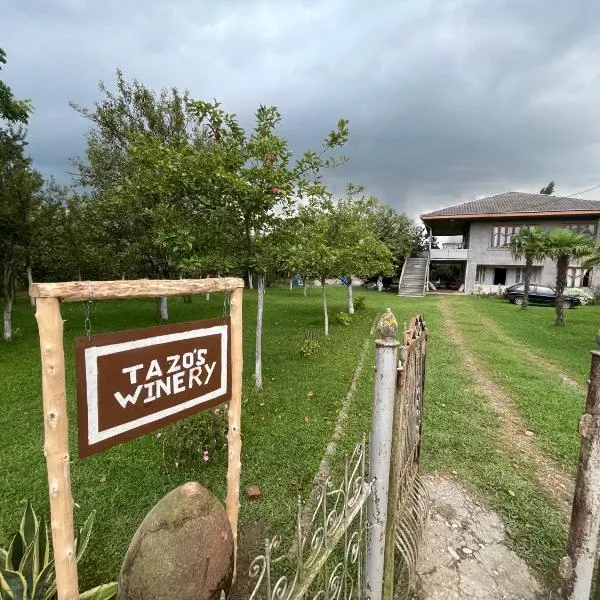 Tazos Winery guest house, hotel in Abasha