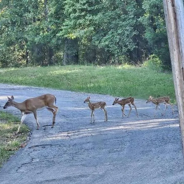 My Hideaways Serinity Hill, hotel in Hardy