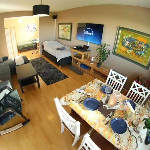 Peaceful City Apartment with Sauna & Balcony, hotel in Rovaniemi