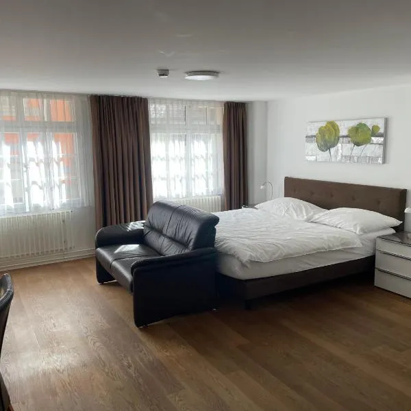 Aparthotel Splendid City Center, hotel v Curychu