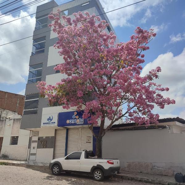Excelente Apartamento