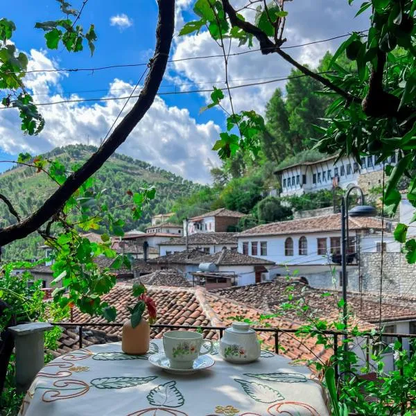 Nika's Guest House, hotel v destinaci Berat