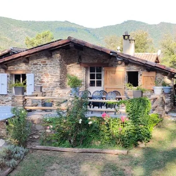 Le Mas de la Rode, hotel in Saumane