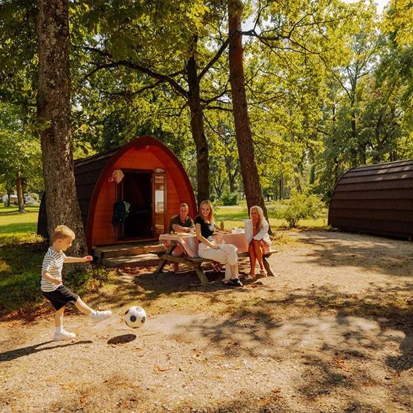 AZUR Waldcamping Auwaldsee, hotel v destinaci Ingolstadt