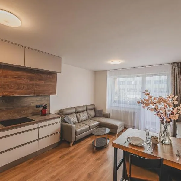 Luxusní Apartmán U Petrofa s vlastním parkovacím místem, hotel in Hradec Králové