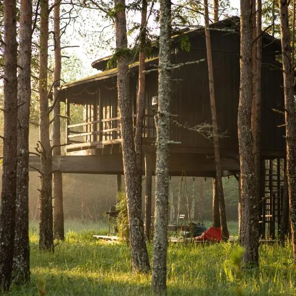 Treehouseestonia, hotell Jõgisoos
