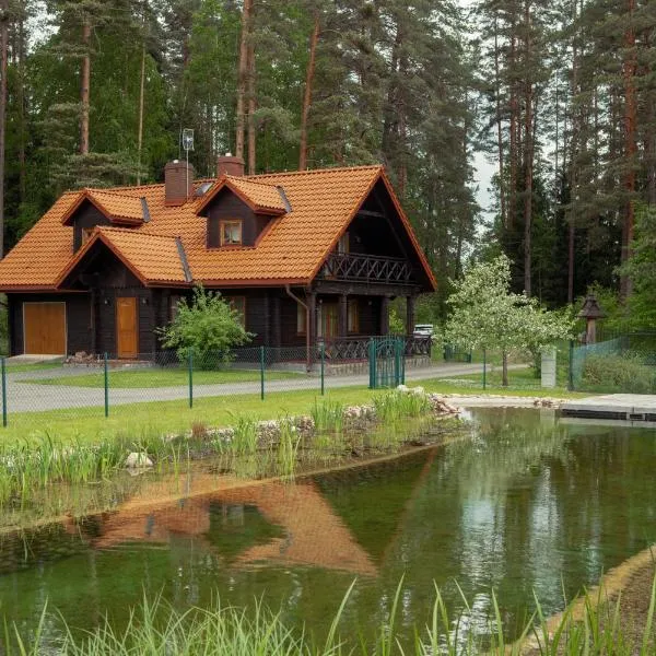 Dom pod Sosnami, hotell sihtkohas Płaska