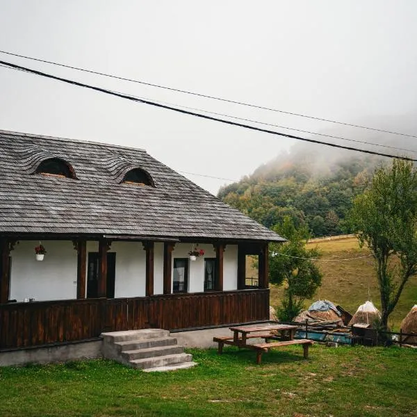 Casa Bunicilor Ciocanu, hotel v destinaci Rucar